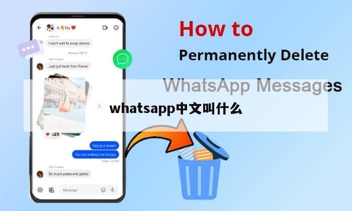 whatsapp中文叫什么
